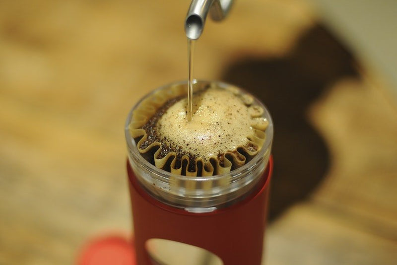 Cafflano - Go Brew Coffee Maker - różowy - Sklep.Kawa.pl