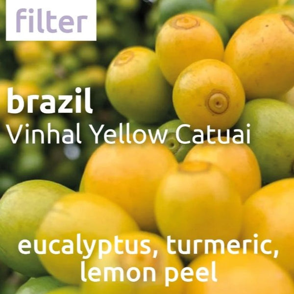 Rum Baba Brazylia Vinhal Yellow Catuai metody przelewowe kawa zi