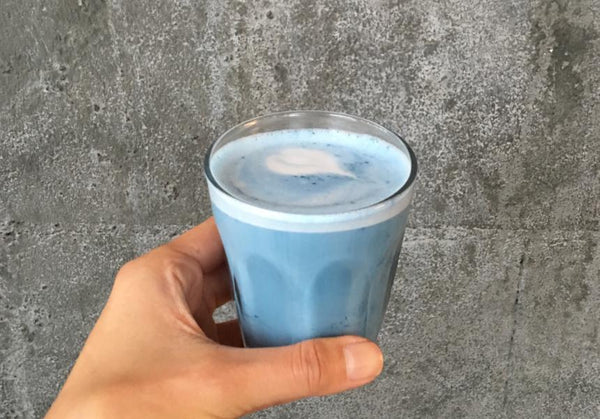 Błękitna kawa robi furorę na Instagramie
