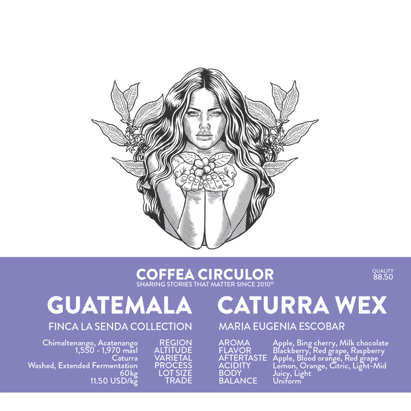 Coffea Circulor - Gwatemala Finca La Senda Caturra - filtr - kawa ziarnista 250g - Sklep.Kawa.pl