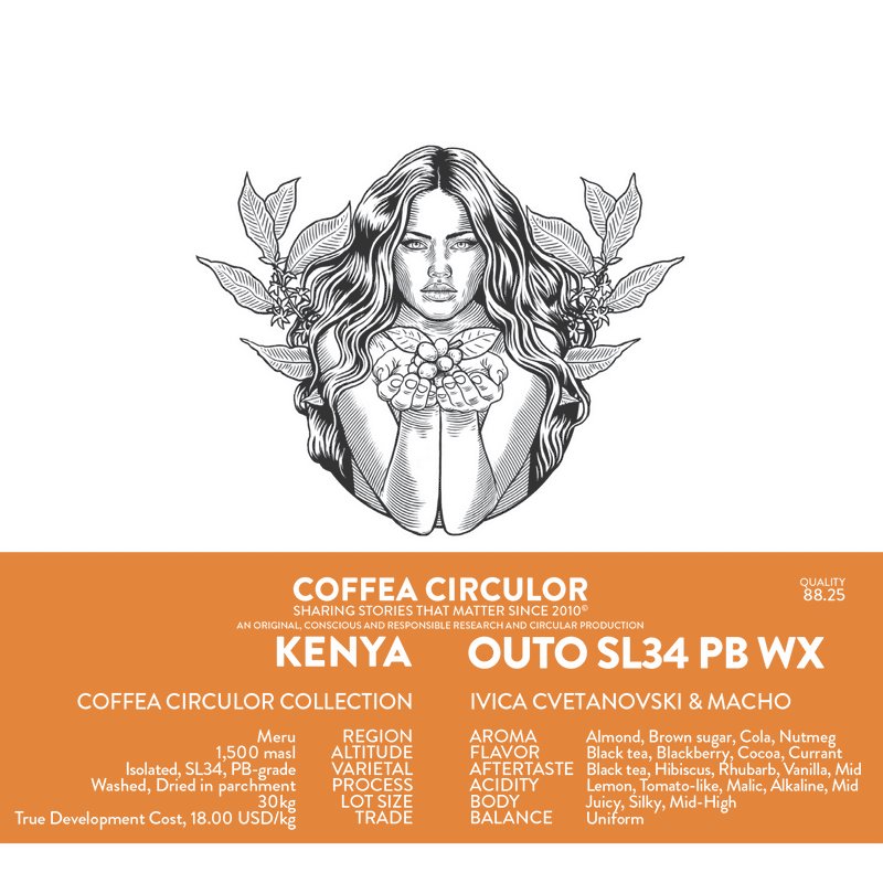 Coffea Circulor - Kenia Outo Isolated SL34 PB Washed WX - filtr - kawa ziarnista 250g - Sklep.Kawa.pl