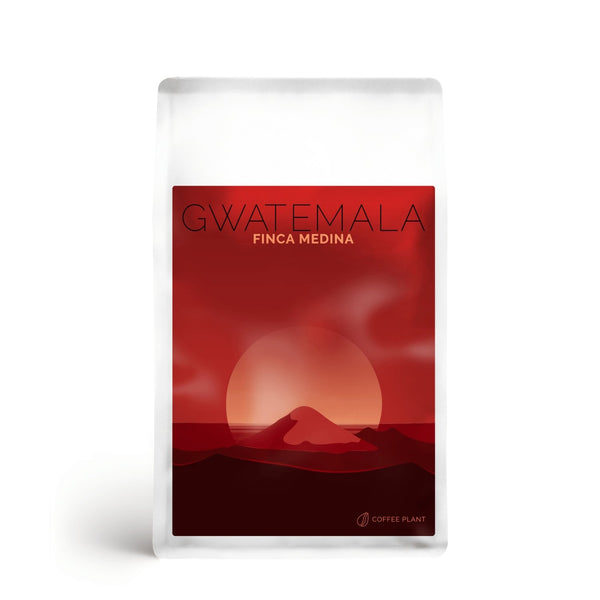 Coffee Plant - Gwatemala Finca Medina - filtr - kawa ziarnista 250g - Sklep.Kawa.pl