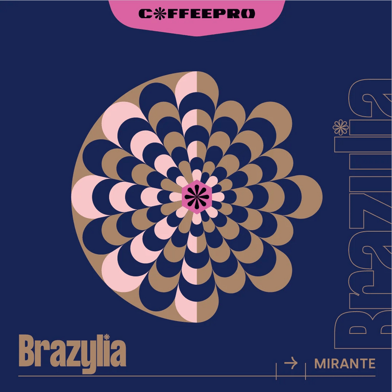CoffeePro - Brazylia Mirante - filtr - kawa ziarnista 250g - Sklep.Kawa.pl