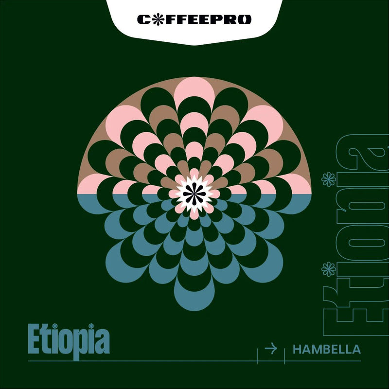 CoffeePro - Etiopia Hambella - filtr - kawa ziarnista 1kg - Sklep.Kawa.pl